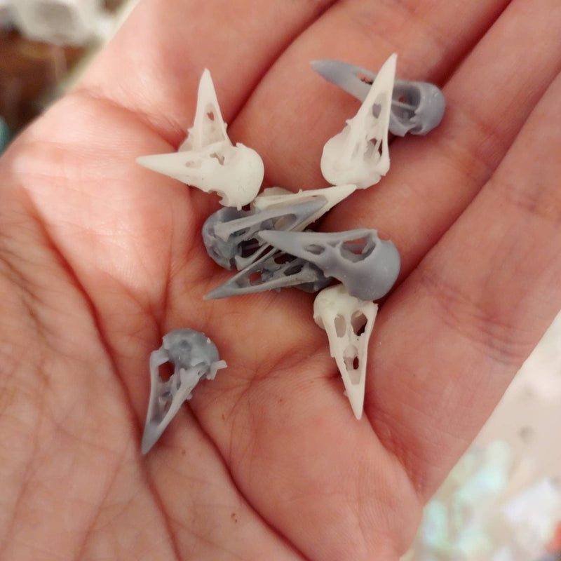 Raven Skull Replica - 1:6 Scale