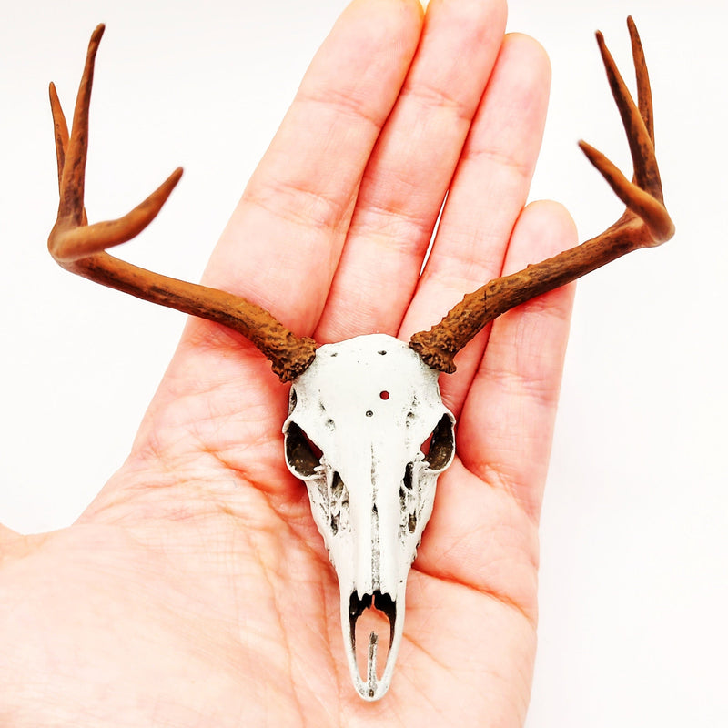 White-Tailed Deer Skull with Antlers Replica - 1:6 Scale