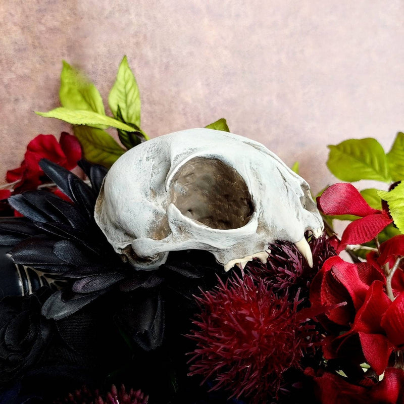 Cat Skull Replica - 1:1 Scale