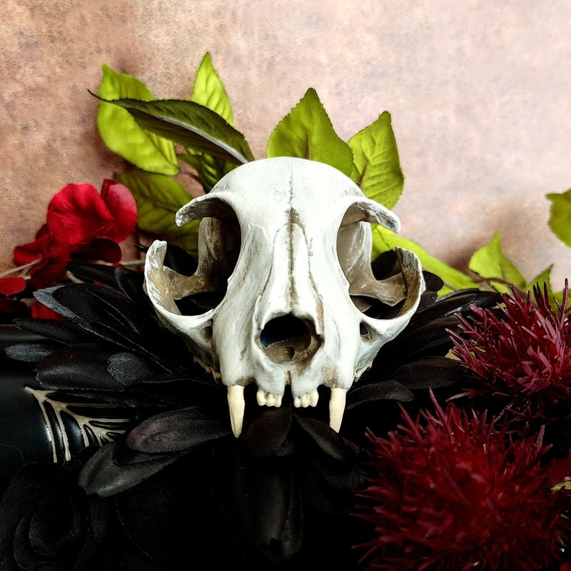 Cat Skull Replica - 1:1 Scale