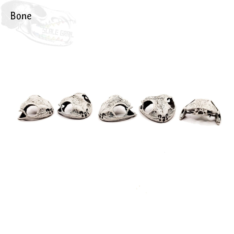 Cuban Tree Frog Skull Replica - 1:6 Scale (Set of 5)