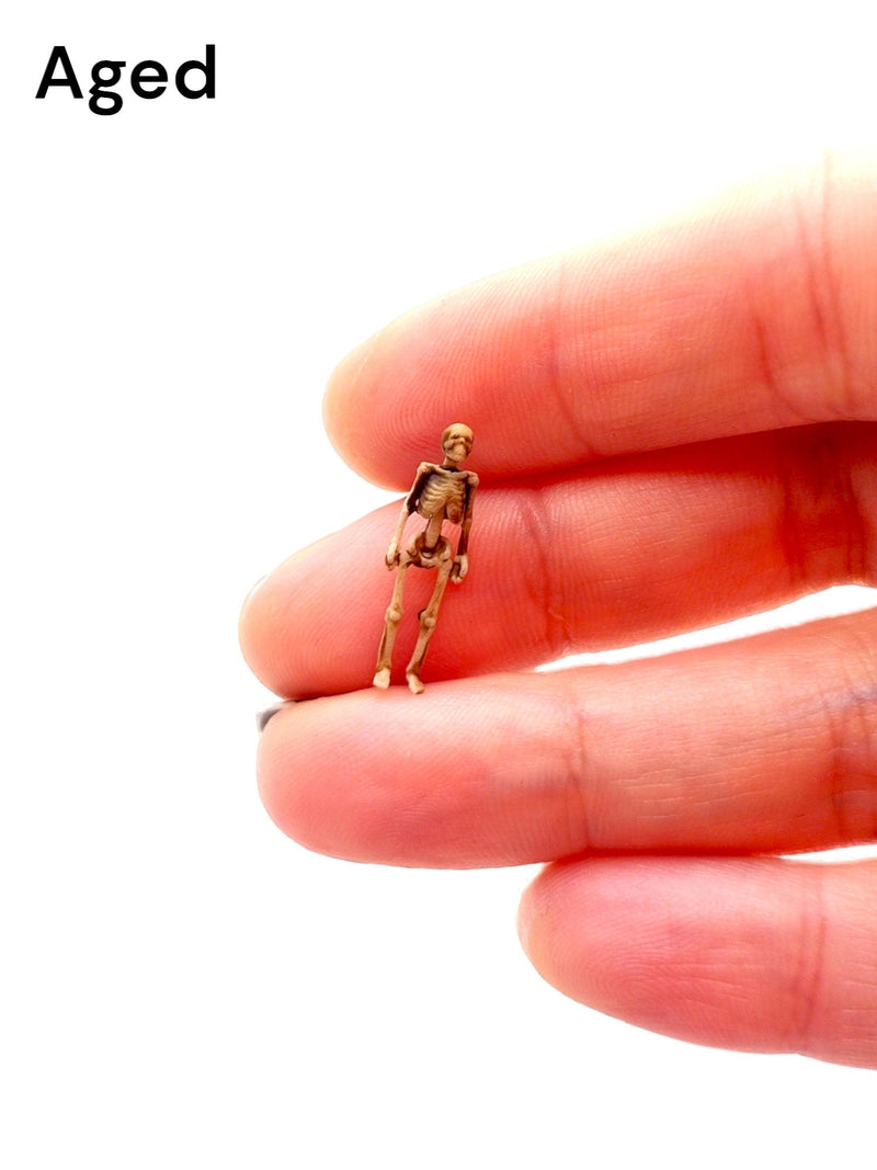 Human Skeleton Replica - HO Scale (1:87)