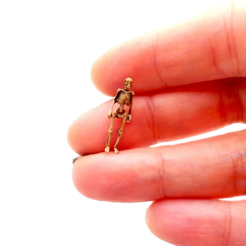 Human Skeleton Replica - HO Scale (1:87)