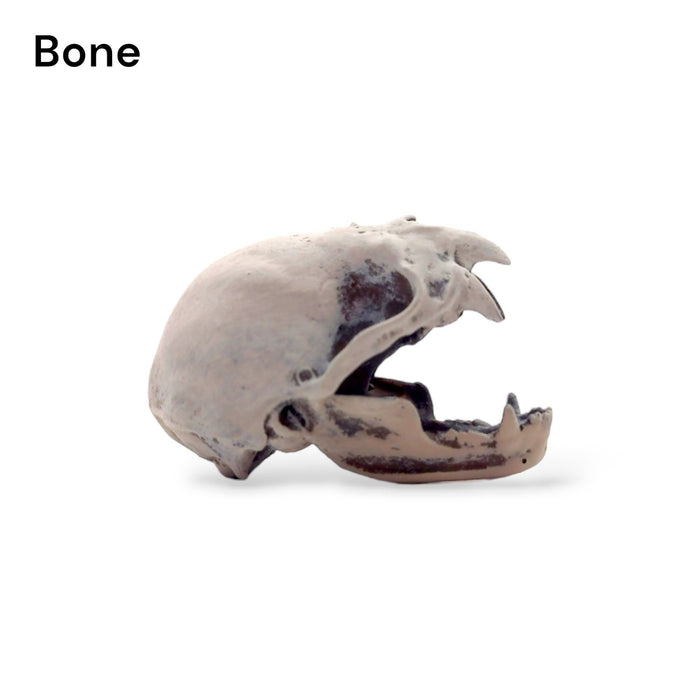 Vampire Bat Skull Replica - 1:1 Scale