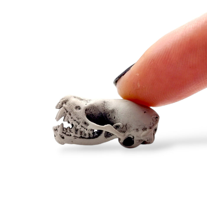 Northern Bat Skull Replica - Open Jaw - 1:1 Scale