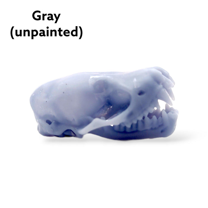Northern Bat Skull Replica - Open Jaw - 1:1 Scale