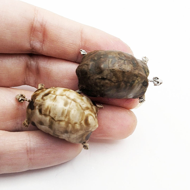 Tortoise Skeleton Replica - 1:12 Scale