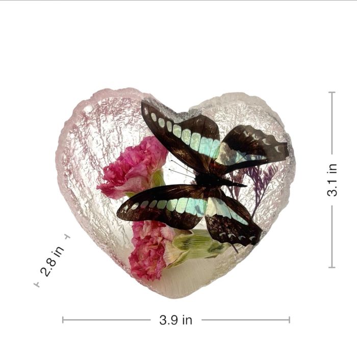 Real Butterfly in Acrylic Heart