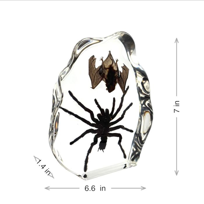 Real Tarantula & Bat in Acrylic