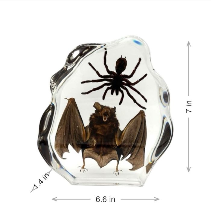 Real Tarantula & Bat in Acrylic