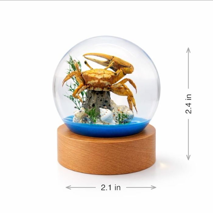 Crab Acrylic Globe