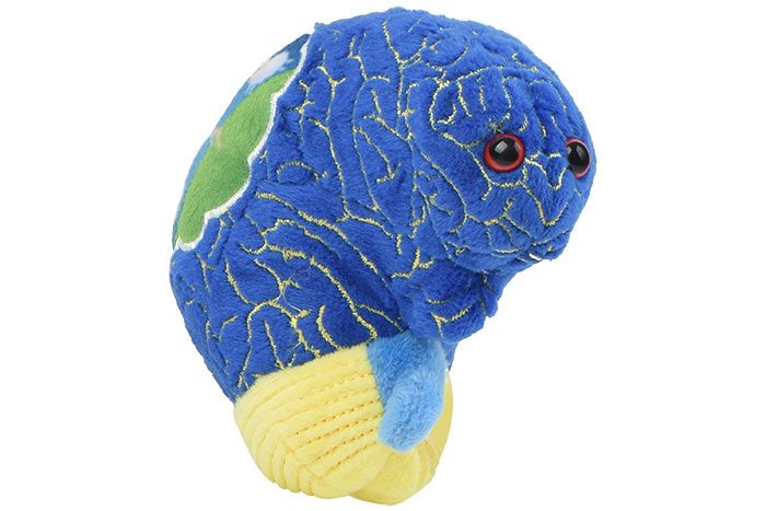 Giant Microbes Insomnia Plush For Sale — Skulls Unlimited