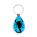 Real Black Scorpion in Acrylic Keychain