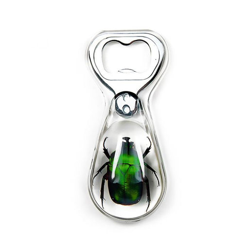 Real Acrylic Green Chafer Beetle Bottle Opener