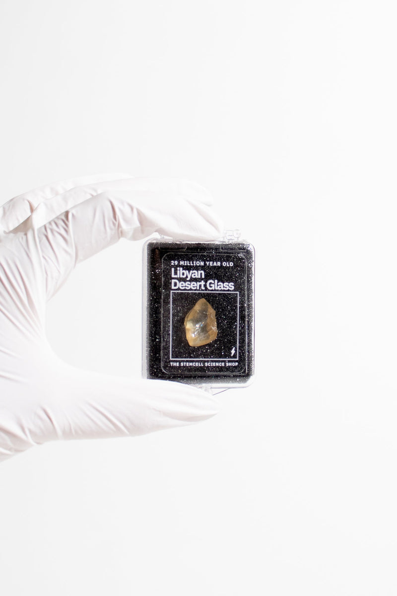 Libyan Desert Glass Specimen