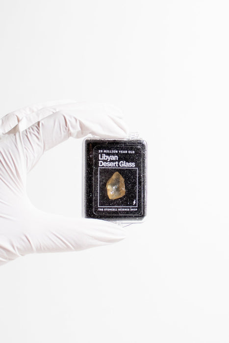 Libyan Desert Glass Specimen