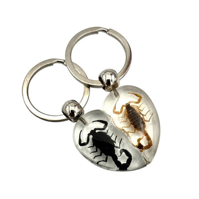 Real Scorpion in Acrylic Keychain Heart