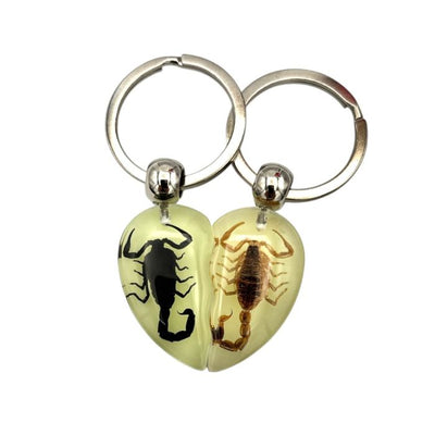 Real Scorpion in Acrylic Keychain Heart - Glow in the Dark