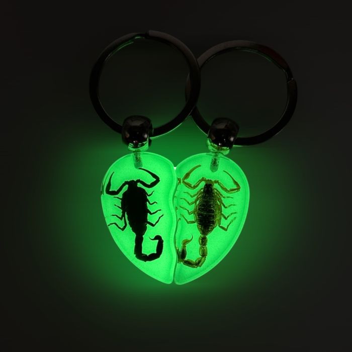 Real Scorpion in Acrylic Keychain Heart - Glow in the Dark