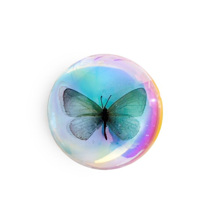 Real Short-tailed Blue Butterfly Magnet