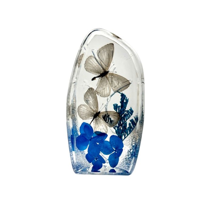 Real Short-tailed Blue Butterfly Oval Paperweight