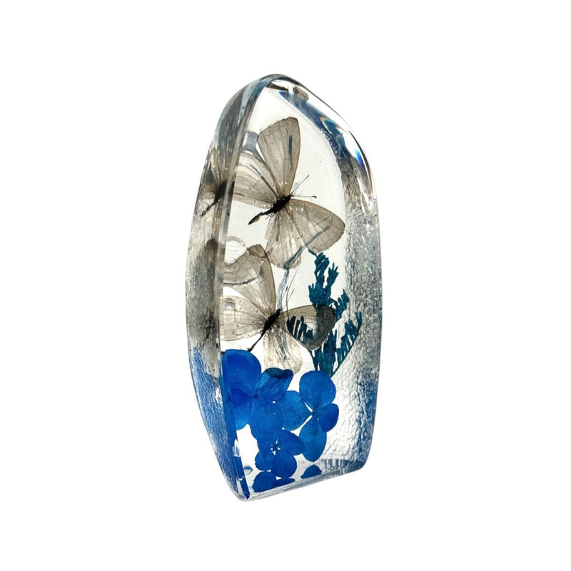 Real Short-tailed Blue Butterfly Oval Paperweight