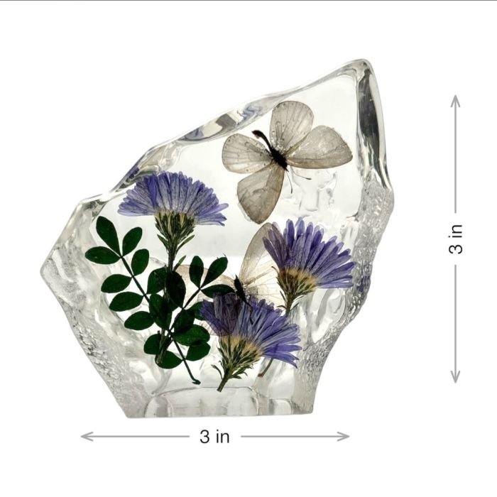 Real Short-tailed Blue Butterfly Asymmetrical Paperweight