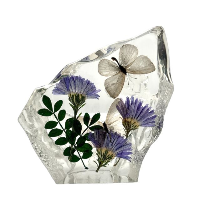 Real Short-tailed Blue Butterfly Asymmetrical Paperweight