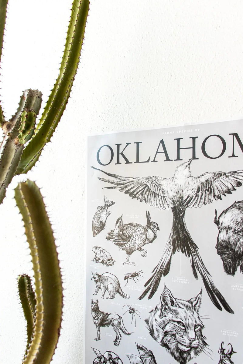 Oklahoma Wildlife Educational Chart