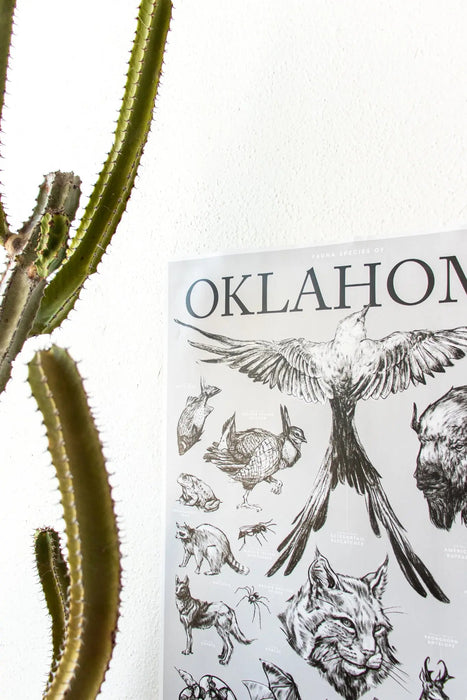 Oklahoma Wildlife Educational Chart