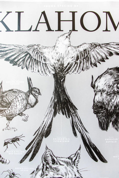 Oklahoma Wildlife Educational Chart