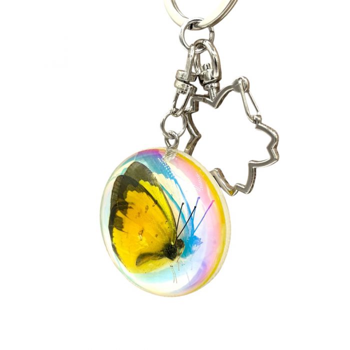 Real Iridescent Yellow Butterfly in Acrylic Keychain
