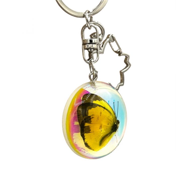 Real Iridescent Yellow Butterfly in Acrylic Keychain