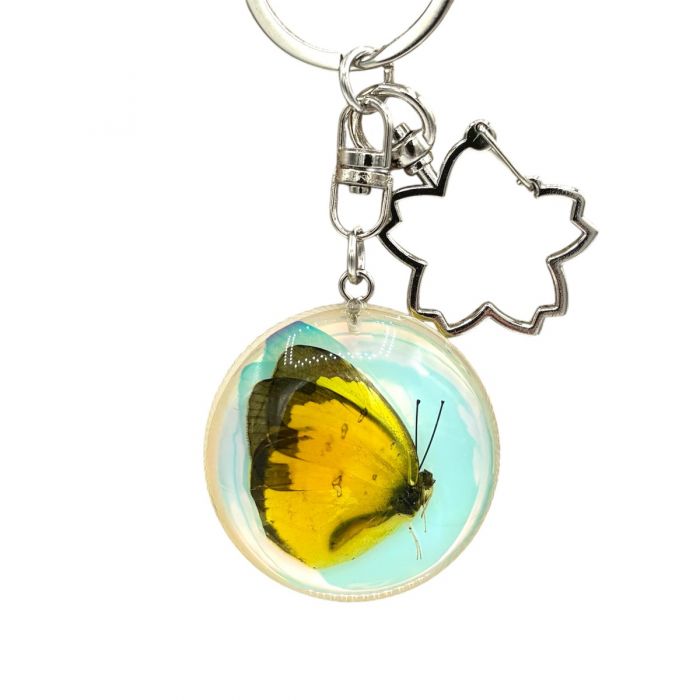 Real Iridescent Yellow Butterfly in Acrylic Keychain