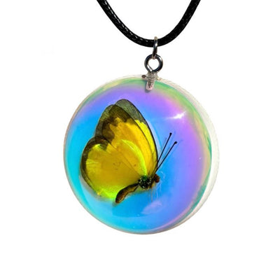 Real Butterfly in Iridescent Acrylic Necklace