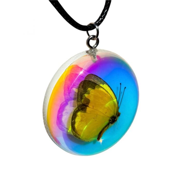 Real Butterfly in Iridescent Acrylic Necklace