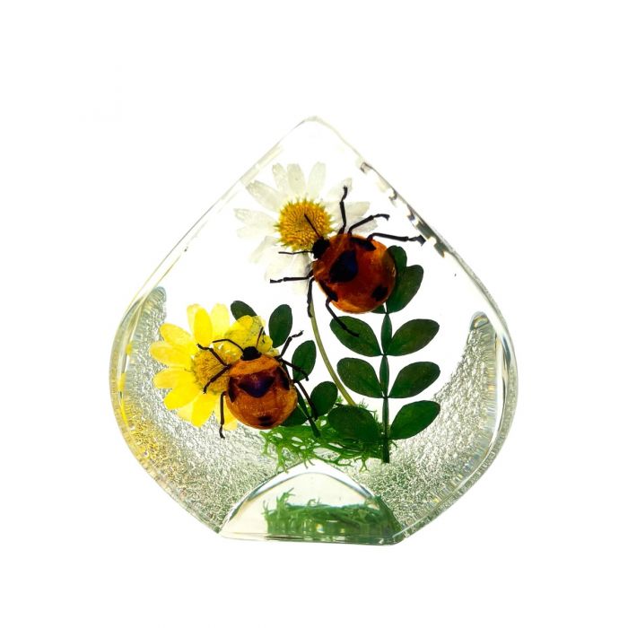 Real Beetles and Flowers in Teardrop-shaped Acrylic Paperweight