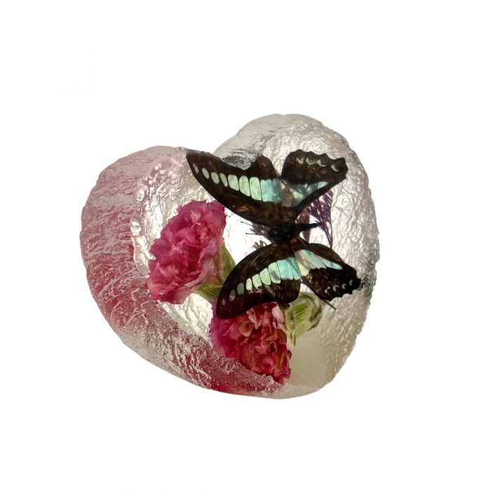 Real Butterfly in Acrylic Heart