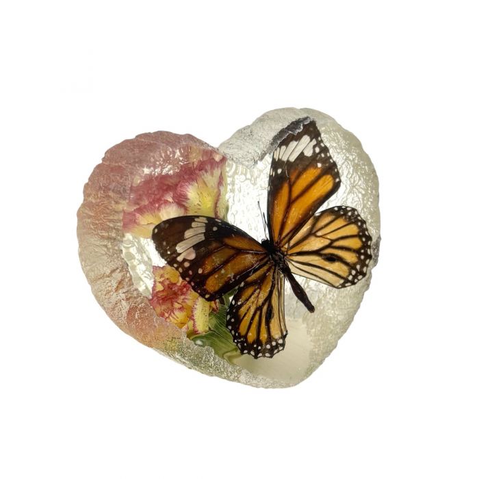 Real Butterfly in Acrylic Heart