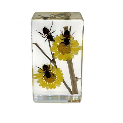Honeybee Paperweight
