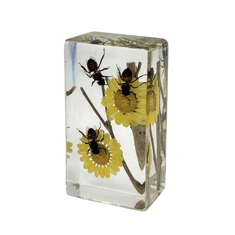 Honeybee Paperweight