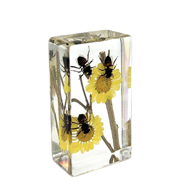 Honeybee Paperweight