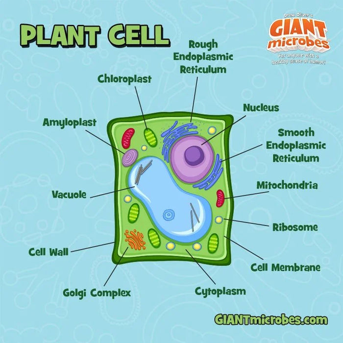 GIANTmicrobes Plant Cell Plush