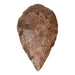 Replica Fossil Hominid Tool Bi-facial Hand-Axe 006
