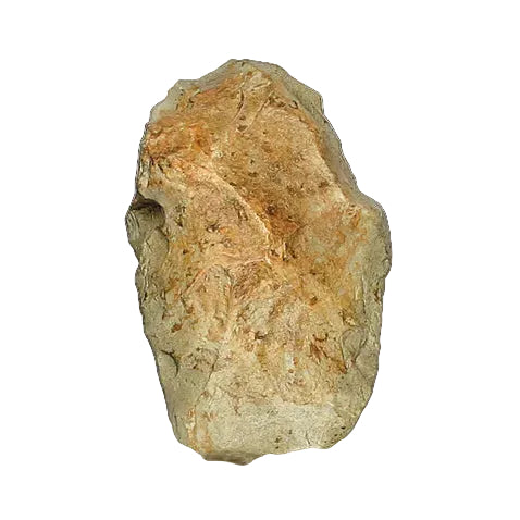 Hominid Tool Replica