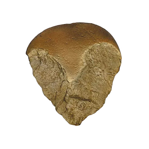 Hominid Tool Replica