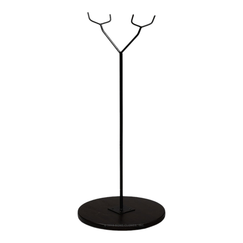 Replica Humpback Whale Vertebra and Epiphyseal Discs