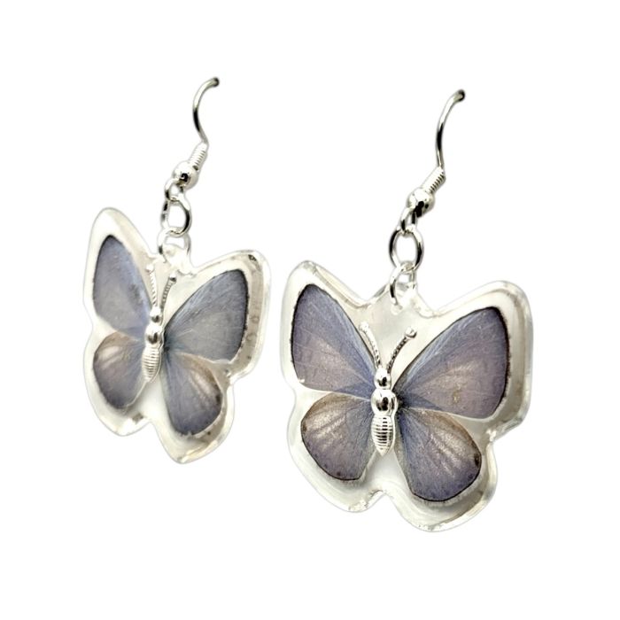Real Butterfly in Acrylic Earrings