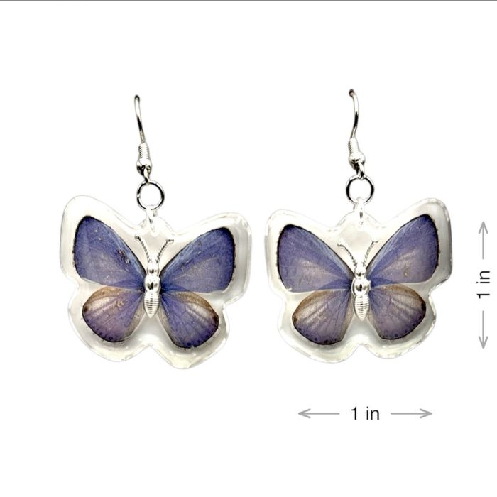 Real Butterfly in Acrylic Earrings