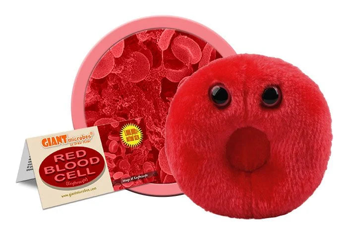 Giant Microbes Red Blood Cell For Sale — Skulls Unlimited